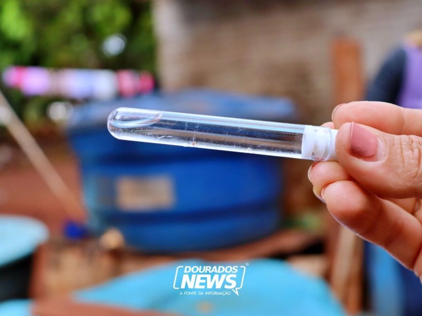 Dourados registra nova morte por suspeita de Chikungunya