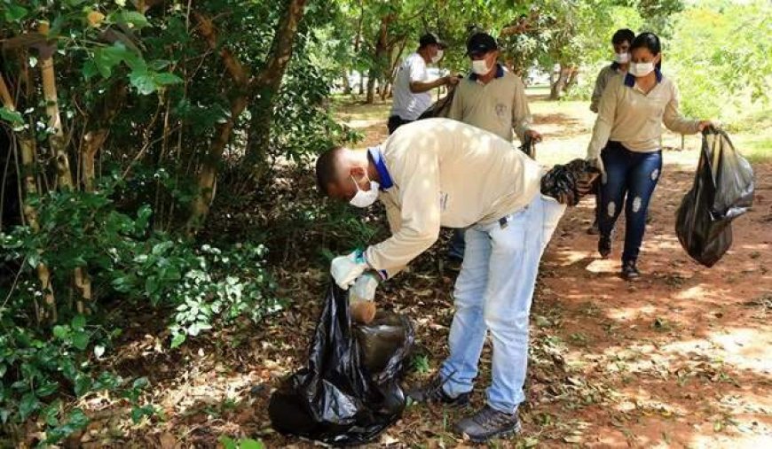 Alerta Máximo: Cinco Cidades de MS em Risco por Infestação do Aedes Aegypti