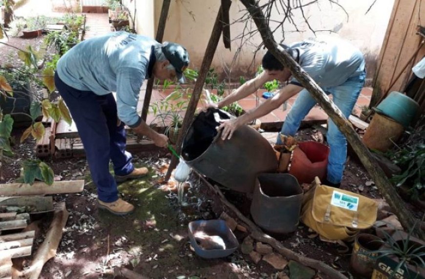 Dourados Registra Primeira Morte por Chikungunya Fora da Reserva Indígena