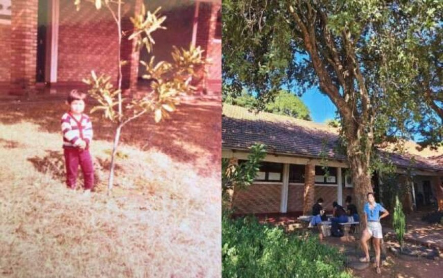 Filha Reencontra Árvore Plantada pelo Pai após 20 Anos