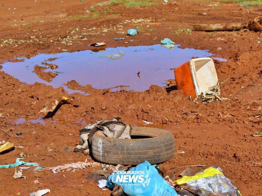Dourados Confirma Primeira Morte por Chikungunya em Área Urbana