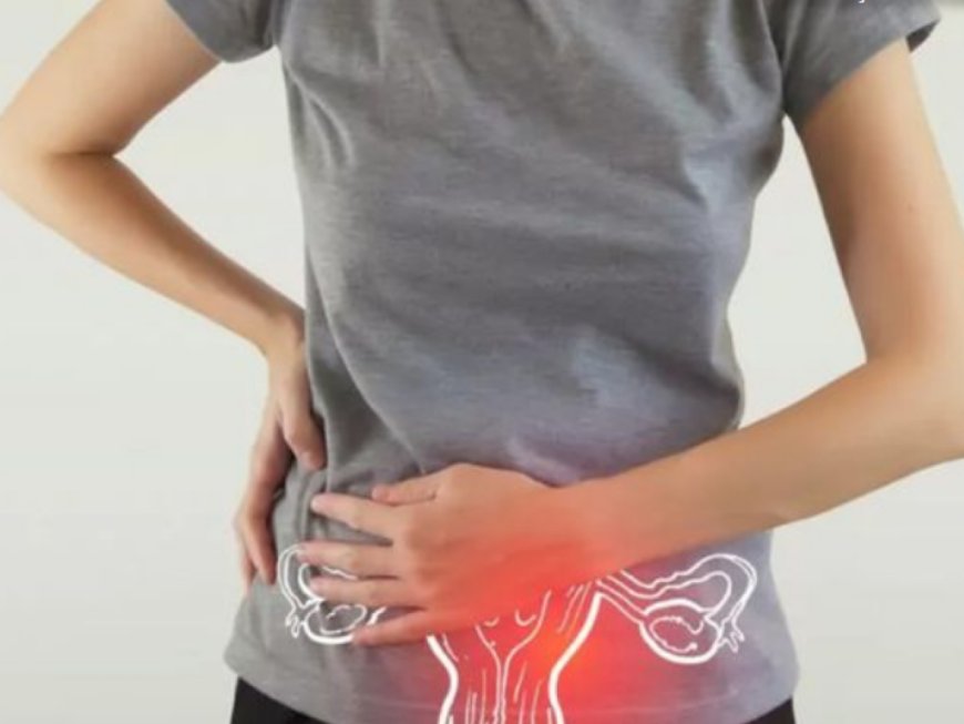 Endometriose: Saiba Mais Sobre a Doença que Afeta Cerca de Oito Milhões de Mulheres Brasileiras