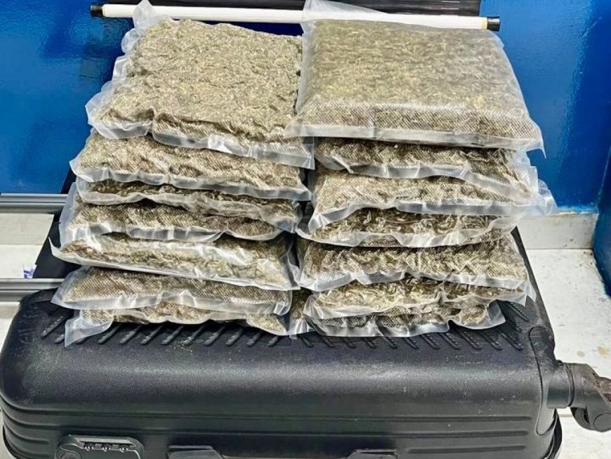 Passageira é flagrada com skunk em ônibus durante bloqueio policial