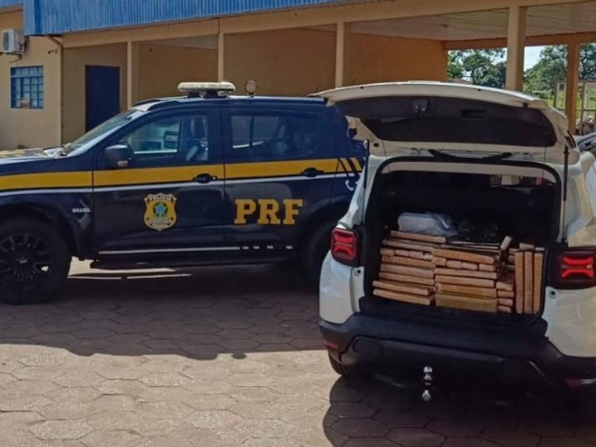 Motorista preso por transportar quase meia tonelada de maconha