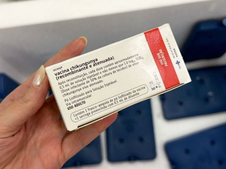 Dourados e Itaporã Recebem 20 Mil Doses de Vacina Contra Chikungunya