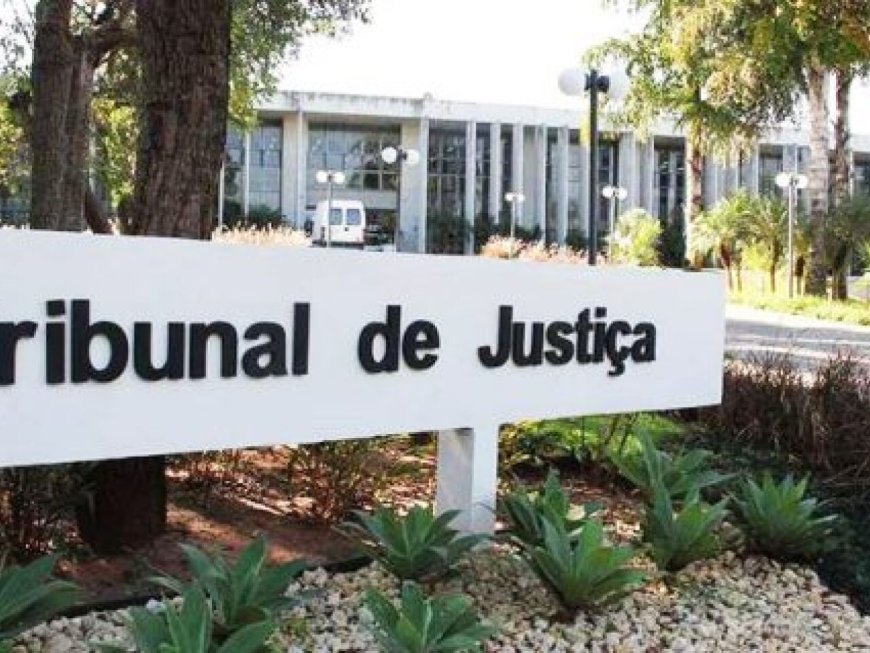 TJ condena jovem acusado de matar gata 'Xispita' a 2 anos e 8 meses de prisão