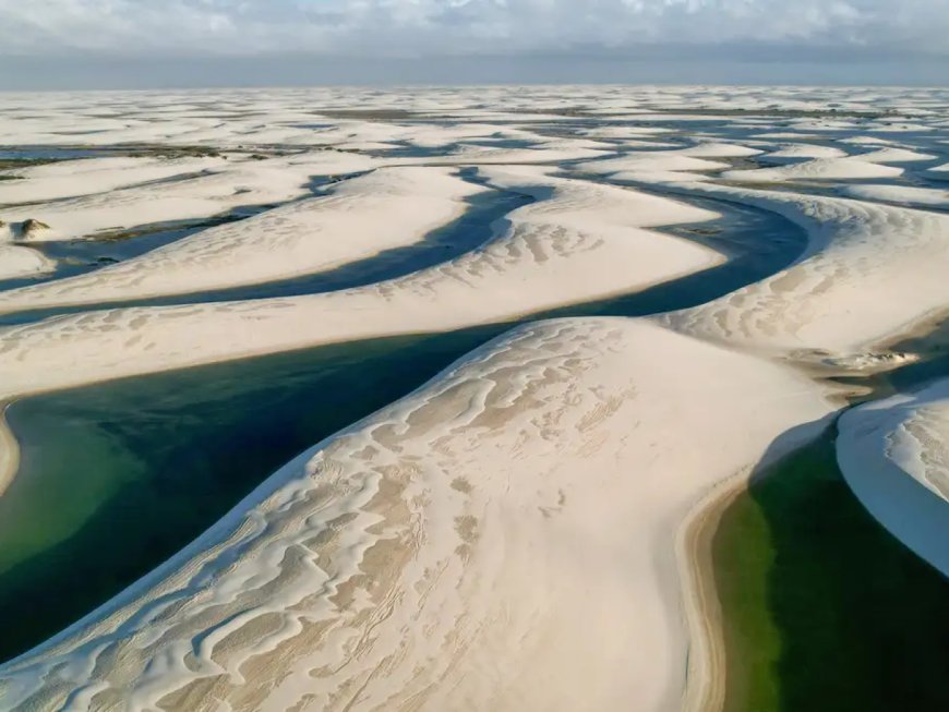 Relatório da Unesco destaca importância de sítios protegidos para o meio ambiente