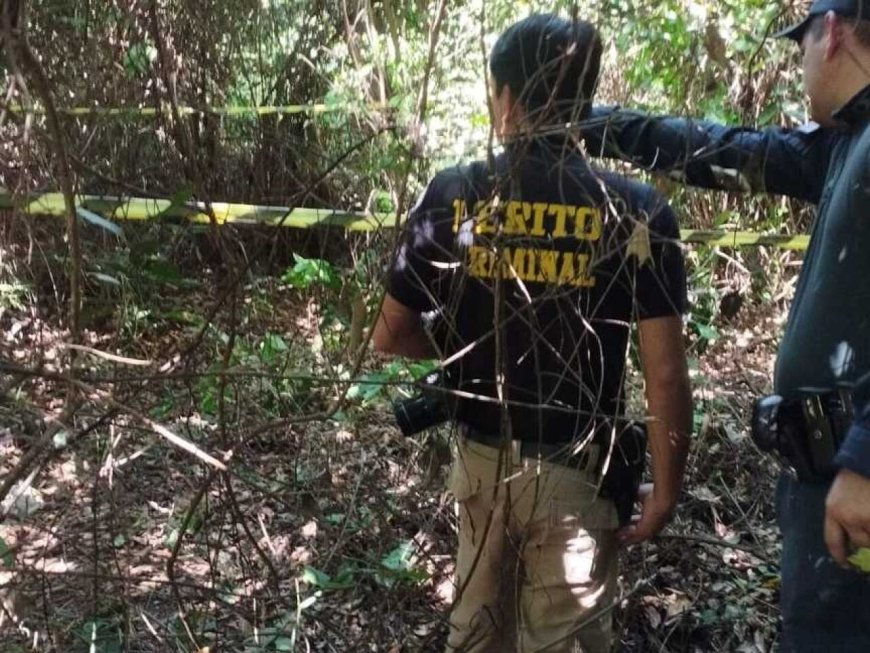 Tragédia em Douradina: Homem é Morto por Javali em Fazenda