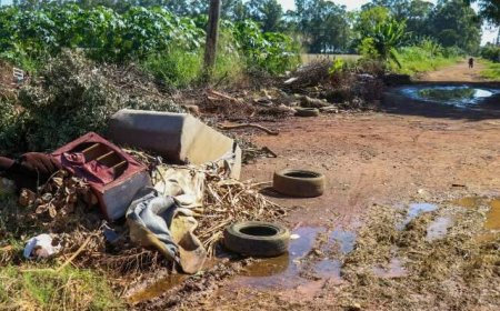 Mato Grosso do Sul Registra 5.214 Casos Confirmados de Chikungunya em 2026