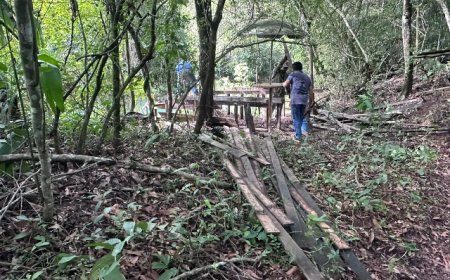 Decks Irregulares no Rio Formoso São Demolidos após Seis Anos