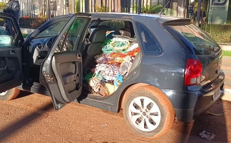 Casal Detido em Dourados após Furto de Fios e Ferramentas
