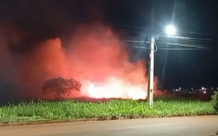 Incêndio em Dourados: Raio Provoca Fogo em Área de Vegetação