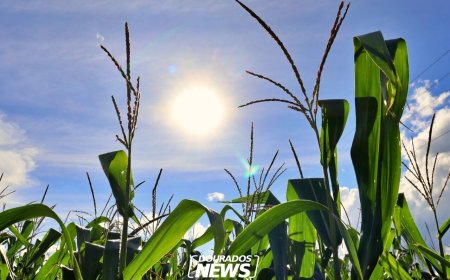 Previsão indica início de semana quente e com aumento de nuvens em Dourados