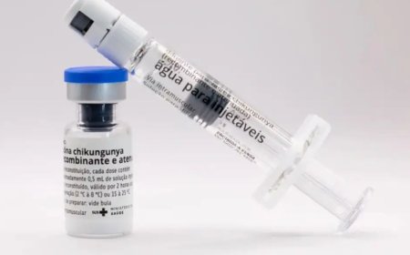 Butantan produzirá vacina nacional contra chikungunya