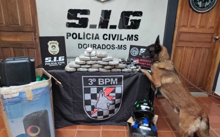 Esquema de tráfico via transportadoras é descoberto em Dourados