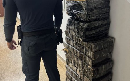 Mais de 200 kg de maconha são apreendidos após carro colidir com vaca em rodovia de MS