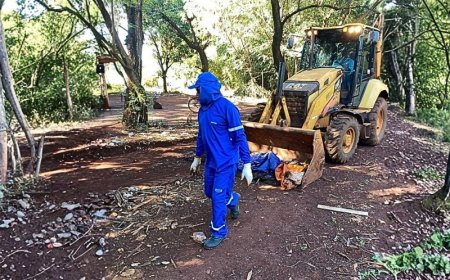 Casos de Chikungunya em Dourados: Saúde Mantém Alerta Apesar de Redução