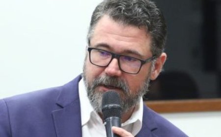 Câmara dos Deputados aprova suspensão de Pollon e outros dois deputados por dois meses