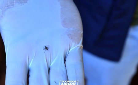 Repelentes contra Chikungunya recebem isenção de ICMS após burocracia