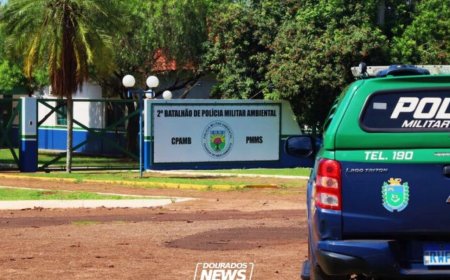 Homem é preso após atacar base da Polícia Militar Ambiental com tijoladas