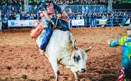 Um dos berços do rodeio no Brasil, Festa do Peão começa hoje com entrada franca