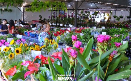 Expoflor: evento beneficente até sábado na praça Antônio João em Dourados