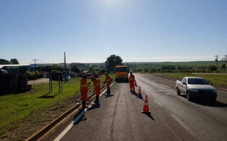 Rota da Celulose: 705 km de rodovias recuperados e 21 toneladas de lixo recolhidas em 100 dias