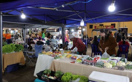 Parque dos Ipês recebe eventos especiais com gastronomia, música e artesanato