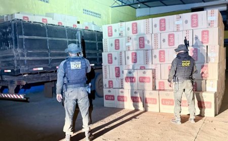 Carga milionária de cigarros contrabandeados é apreendida em barracão às margens da BR-163