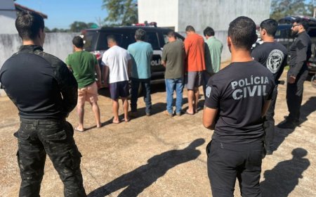 Operação desmantela quadrilha que causou prejuízo milionário a empresas de celulose em MS