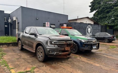 Suspeito de Furtar Caminhonete é Preso Após Tentativa de Fuga na MS-289