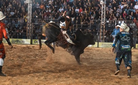 Domingo tem premiação de Laço Comprido e final do Rodeio em Touros e Cavalos na 41ª Festa do Peão