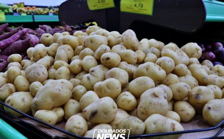 Preço da Cesta Básica em Dourados Registra Leve Alta