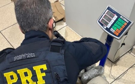 Menor é apreendido com mais de 11 quilos de skunk na BR-262