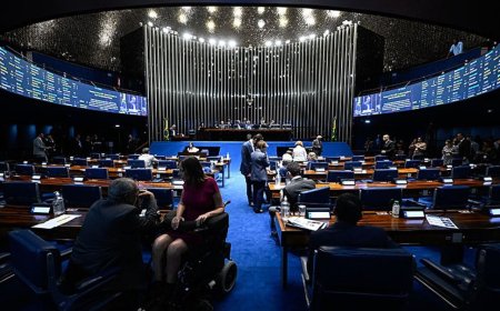 Plenário do Senado Vota Renovação Automática da CNH na Terça-Feira