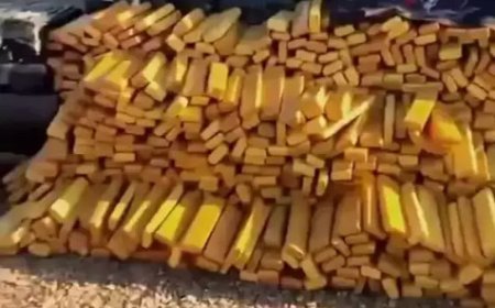 Garras intercepta quase 4 toneladas de maconha escondidas em carga de algodão na BR-163