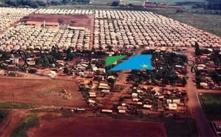 Gangue Feminina 'Gatas Selvagens' Mete Terror nas Moreninhas