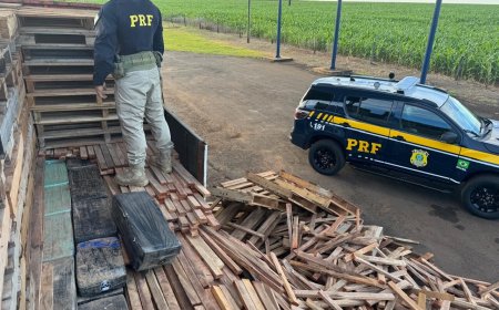 Carreta com Pallets Escondia Quase 1,2 Tonalda de Maconha