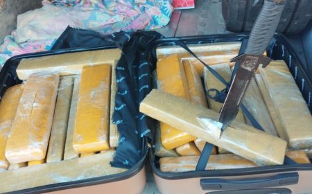 Passageiro de ônibus é preso com mais de 30 kg de maconha em rodovia