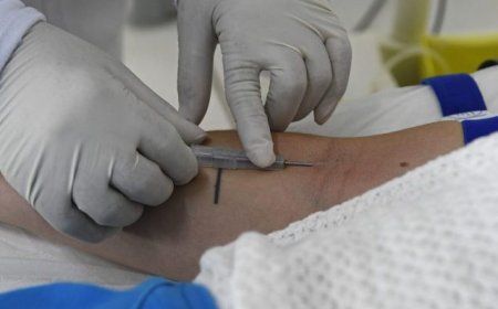 Mato Grosso do Sul Reforça Vigilância Contra Hantavirose