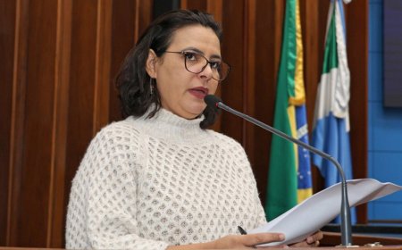 Projeto de Proteção à Mulher é Arquivado na Assembleia de MS