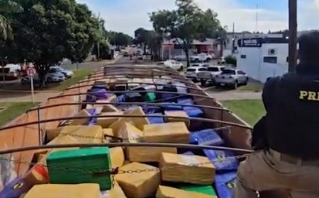 Caminhoneiro é preso com mais de 8 toneladas de maconha na BR-163