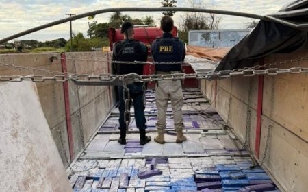 Megaofensiva contra o tráfico apreende quase 6 toneladas de maconha