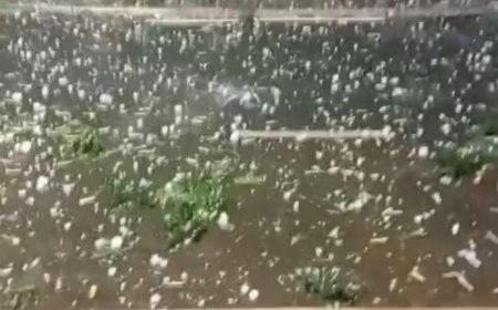 Região Sul de Mato Grosso do Sul Enfrenta Noite de Caos com Granizo, Alagamentos e Ventania