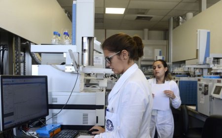 Iniciativas buscam facilitar acesso e permanência de mães na ciência