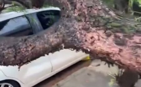 Temporal despeja quase 90 mm de chuva em Dourados e cidade lidera volume no Estado