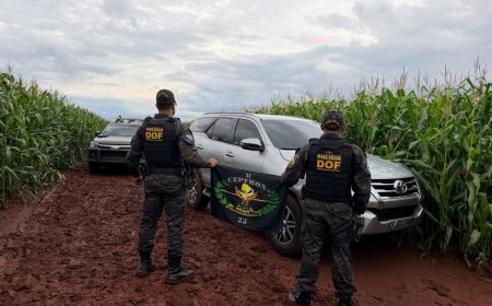 Motorista joga caminhonete contra viatura da polícia e foge
