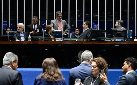 Legislação que beneficia o terceiro setor deve ser votada no Senado em 19 de maio