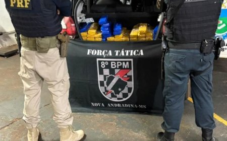 Homem é preso com 219 quilos de maconha e haxixe em Ivinhema