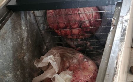 Batida policial apreende mais de 700kg de carne, banha e leite impróprios para consumo